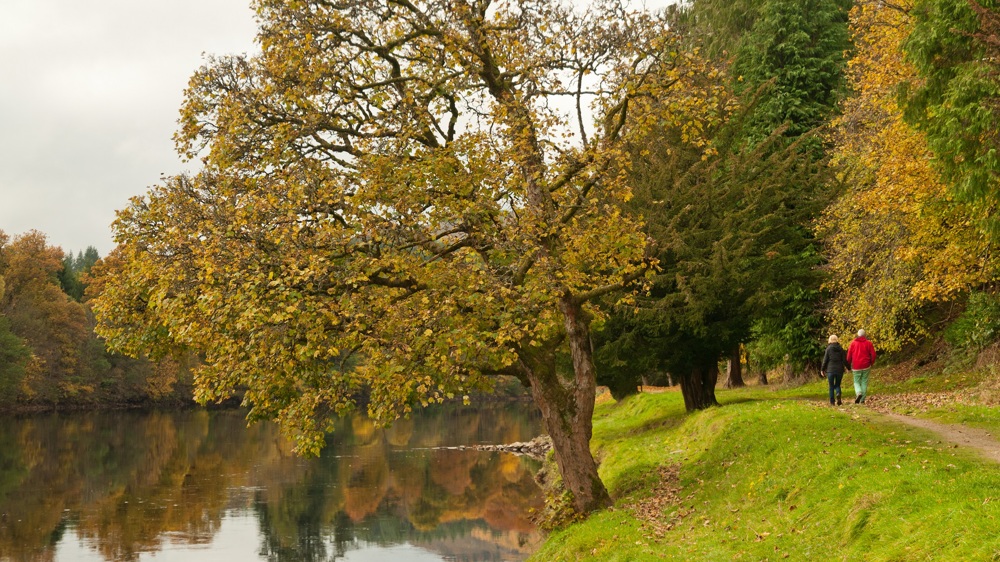 Walk Crieff